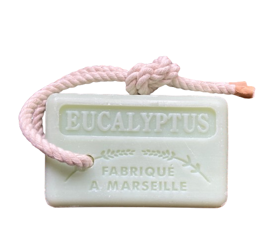 Eucalyptus